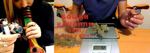 дживик Богородицк