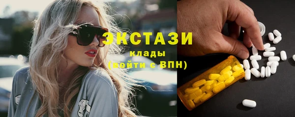 дживик Богородицк
