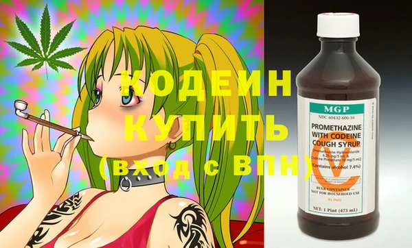 дживик Богородицк