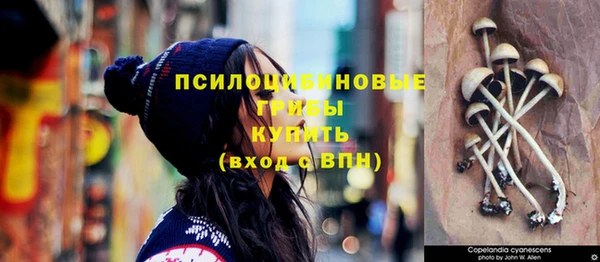 героин Богданович