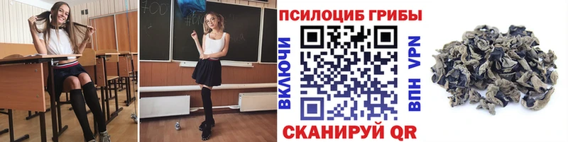 Псилоцибиновые грибы MAGIC MUSHROOMS гидра зеркало Обь